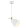 Lampa wisząca CHARLOTTE biały, mosiądz E27 4684 Argon