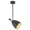 Lampa wisząca CHARLOTTE czarny, mosiądz  E27 4686 Argon