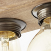 Lampa sufitowa Woodhill E27 DE 4