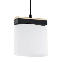 Lampa wisząca CANOA opal mat E27 8276 Argon