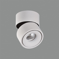 Lampa sufitowa Apex ACB Lighting LED COB Biały Aluminium P341210BDT