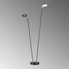 Lampa Podłogowa Dent Fischer&Honsel LED 2x7,5W piaskowo-czarny metal 40404