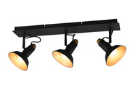 Lampa sufitowa ROXIE 811900332 Trio