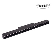 DALI DOTS Magnetic Liniowa System 24W  39CM