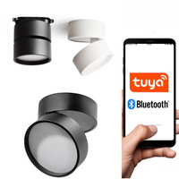 OPRAWA SUFITOWA TUBA DOWNLIGHT URBAN SMART SCIEMNIALNA ULDL185  CZARNY