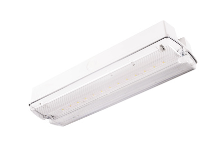 Oprawa ewakuacyjna/awaryjna ORION LED II 100 SA 1H MT IP65 + (OR6, OR7, OR8) / 91899 Intelight