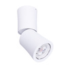 Maxlight Dot C0123 Lampa Sufitowa/Plafon Biały