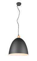 Lampa wisząca JAGGER R30681932 RL