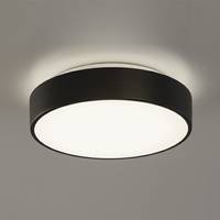 Lampa sufitowa Dins ACB Lighting LED E27 Matowa czerń Żelazo/Szkło P03953N